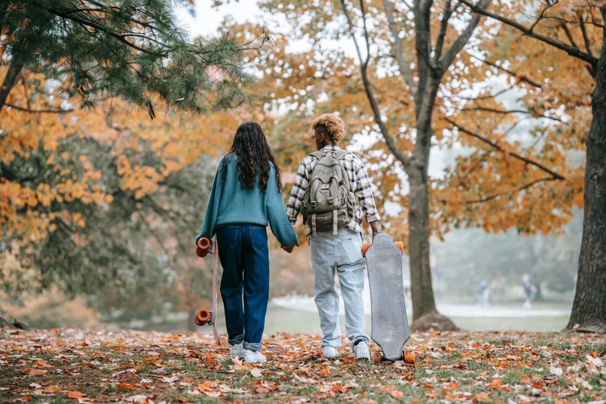 life transitions image of fall time